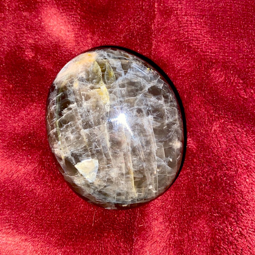 Black moon stone palm